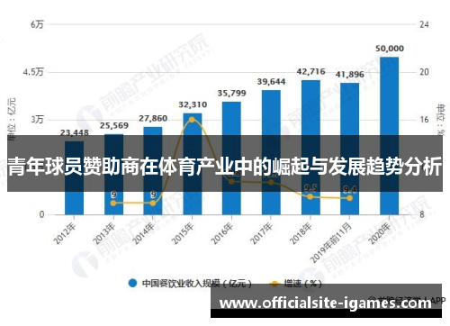 青年球员赞助商在体育产业中的崛起与发展趋势分析