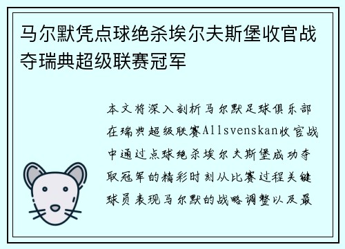 马尔默凭点球绝杀埃尔夫斯堡收官战夺瑞典超级联赛冠军